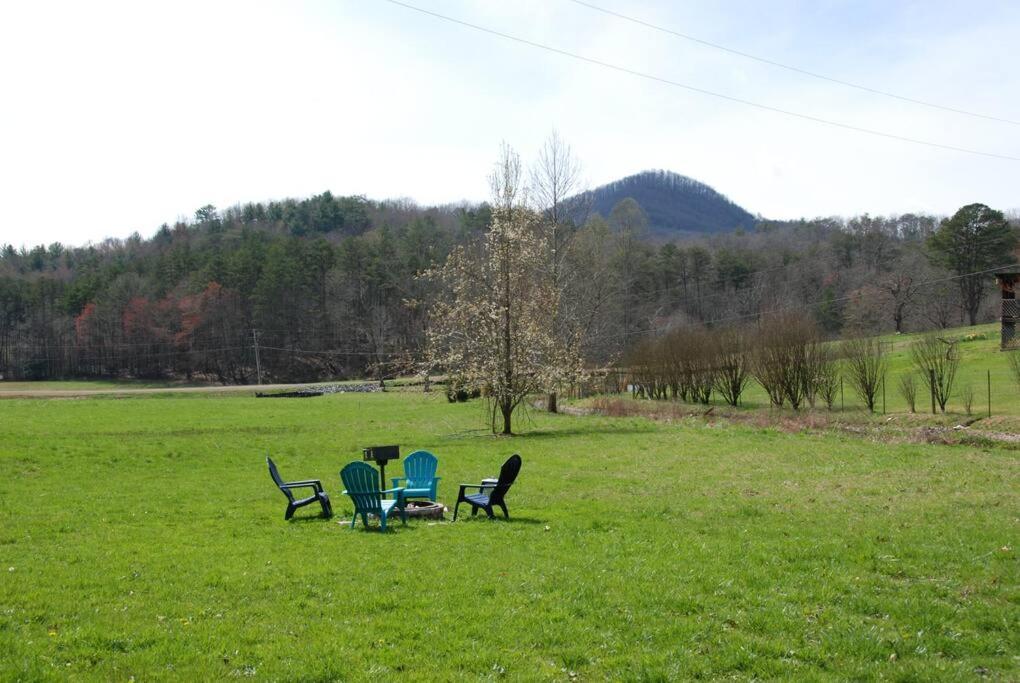 Cozy Cottage With Full View Of The Mountains! Blue Ridge Exterior photo